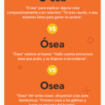 como-se-escribe-osea-u-o-sea-explicacion-y-ejemplos-de-uso